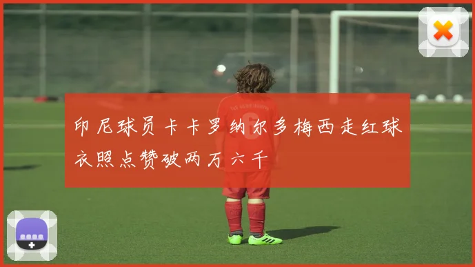 印尼球员卡卡罗纳尔多梅西走红球衣照点赞破两万六千