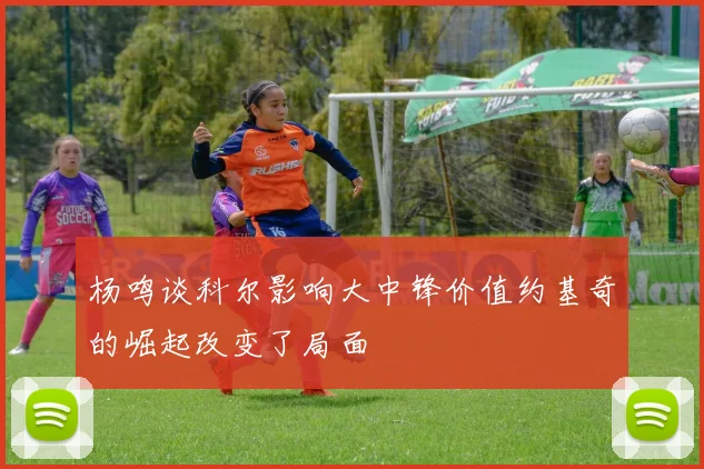 杨鸣谈科尔影响大中锋价值约基奇的崛起改变了局面
